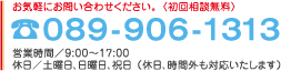 089-906-1313